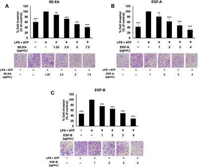 Suppression of inflammation-induced lung cancer cells proliferation and metastasis by exiguaflavanone A and exiguaflavanone B from Sophora exigua root extract through NLRP3 inflammasome pathway inhibition